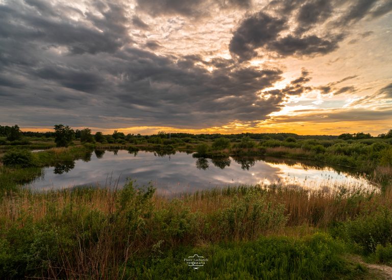 staw, zachód słońca , mazowieckie